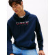 Tommy Hilfiger Ανδρικό φούτερ Logo Drawstring Terry Hoody